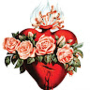 Meet your Posher, Maggsterw22